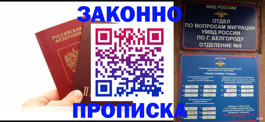временная регистрация для школы в Палласовке